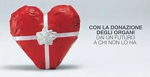 Una scelta in comune