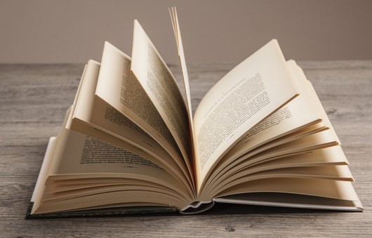 Immagine libro