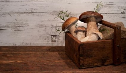 Funghi