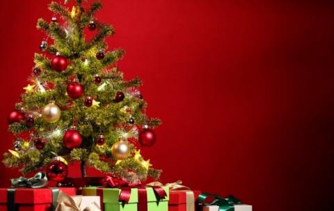 Immagine  notizia Auguri in Piazza