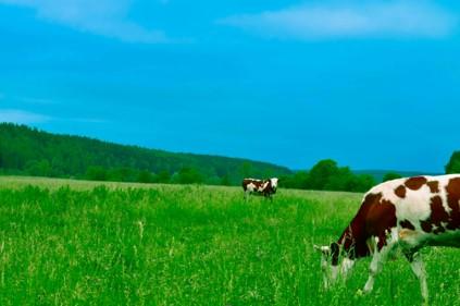 32^ Mostra Agrozootecnica