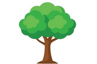 Giornata dell'albero 